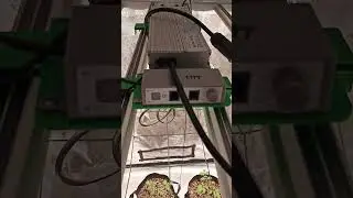 Marshydro FC6500 ，so beautiful light! #marshydro #shorts  #indoorgrowing