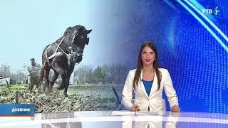 U Ljutovu kod Subotice još možete videti kako se ore uz pomoć konja