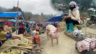 Chợ Phiên Lùng Phình /Cuối Năm Bán La Liệt Gà Bản, Lợn Đen & Nhiều Đặc Sản Rừng Quý Hiếm.