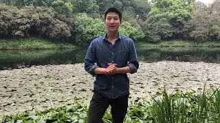 Pique Tea's Founder Story