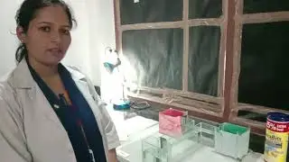 Zebrafish As a Research Model For Neurobehavioral Studies By | Dr. Arti Singh & Dr. Shamsher Singh