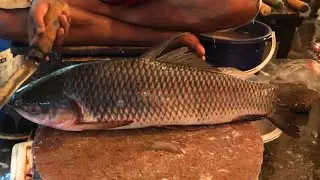 Fish Cutting Fast Worker- Big Rohu (Rui) Fish Cutting With Sharp Knife In Fish Market Bd