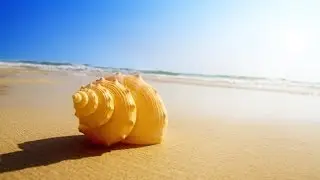 Geleide meditatie / visualisatie: het strandhuisje (25 min)