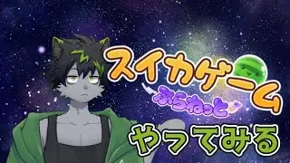 【スイカゲームぷらねっと】前作未プレイやけどスイカくらい作ったるわ！！【ケモノVTuber】