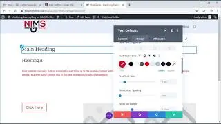 Error Divi Global Settings