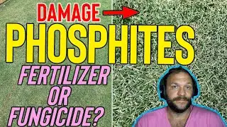 Phosphites For Lawns - Fertilizer Or Fungicide?
