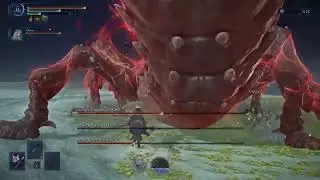 Best Everdark Sentient Pest of All Time - No Hit (Depth 5 Duo)