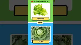 yang biasanya ada pada burger #belajaragarpintar #shortsfeed #quiz