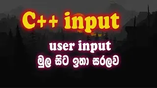 c++ sinhalen input practical 4