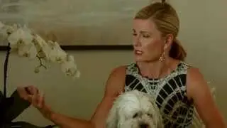 Living Well Navigator: Talking business with Deborah Hutton - Part one