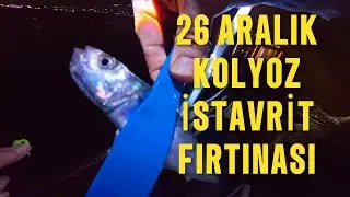4K LRF KOLYOZ, İSTAVRİT KIŞ AYI AV TEKNİKLERİ, 26 ARALIK AVI #lrf #istavrit #kolyoz #daiwafishing