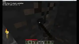 Indev 0.31 20100202