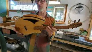 Tenor shell back ukulele (lacewood) spruce top.