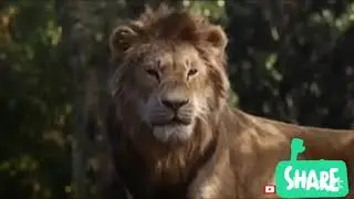 Dashamoolam damu version animal movie