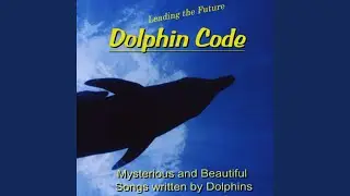 Solemn - from Dolphin Contact CD