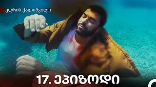 ელჩის ქალიშვილი 17-ე სერია (Kartuli Dublaji)