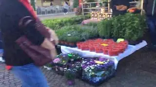 ROAMING AROUND in TRENT OPEN MARKET every THURSDAY | BEST PLACE to SAVE MONEY in TRENTINO ITALY