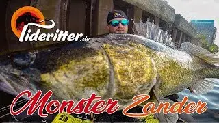 MONSTER-ZANDER beim Belly-Boot-Angeln auf der Elbe in Hamburg gefangen ;) Tideritter