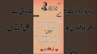 Urdu quotes ✍️💯❤️