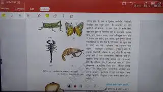 11th H.M Biology Class - 184 (L-05) पादप जगत