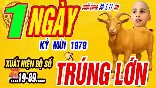 Xuất Hiện Bộ Số Đổi Vận KỶ MÙI 1979 Tài Lộc Bùng Nổ Giàu kếch Xù Đúng ngày Cuối Cùng 30/11 âm
