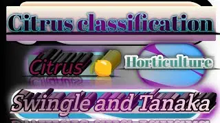 Citrus Classification | Citrus | Classification of citrus | Horticulture | #ibps #nabard #shorts#yt