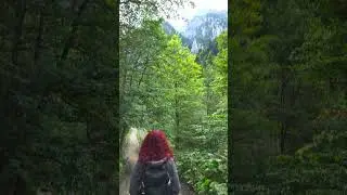 Romania, Bucegi Mountains #travel #mountains #vlog #romania #forest #nature