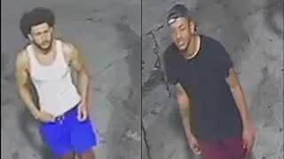 Two men on the run after stealing from local gas station