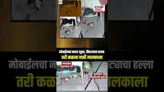 Bhor leopard Attack |  बिबट्याचा हल्ला, मालक मोबाईलमध्ये दंग अन्...; पुढे काय झालं पाहा...