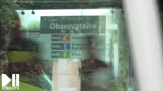 Harcèlement de rue, une réalité pour les strasbourgeois ?