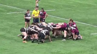 CO Gray Wolves vs.  Black Ice