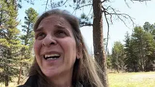 Life Wheel | Work | Live on Purpose Life Coaching San Antonio