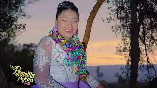 Pamelita Tejeda 