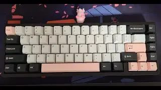 Bakeneko65 w/ Stock Gateron Oil King Switches Sound Test