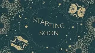 [V-Tuberin][Deutsch] Ab in die Digitale Welt! [Livestreaming]
