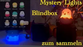 Blind Box 2.0: Eggy&rsquo;s Mystery Lights &ndash; Sammelspa&szlig; mit Licht!