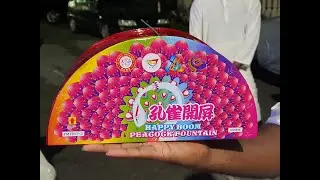 Peacock Fountain - Happy Boom