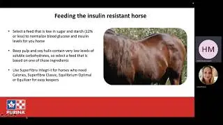 Purina&reg; Canada Equine | Feeding The Senior Horse