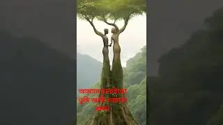 #ইসলামিক_ভাইরাল_ভিডিও #arabcountries #nature