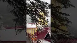 Manali after snowfall 26/Dec/24 | mall Road #snow #manali #shimla #manalitrip #kullumanalisnowfall