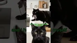 Black cat cooks &lsquo;mouse soup&rsquo; 🐱🍲 😁