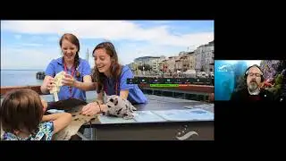 Climate and Ocean Action Through Art, Education & Outreach UN WOD June 10, 2021