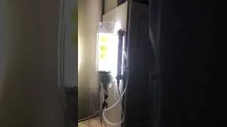 My diy chaeto tumbler