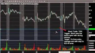 Stock Trade Review for the 8/05/2011 Trading Session: Free Pre-Market Stock Report