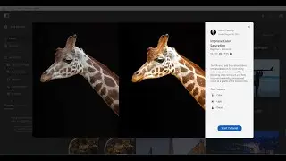 How to Edit Adobe photoshop Lightroom | Free Lightroom Presets | online photo editor 2022 |Photoshop