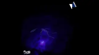 PREMIERE: Pokies - Folk Devil [Hot Concept]
