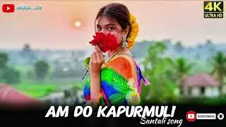 Am do kapurmuli new version santali song 🎵 #santali #santalimusic #newsantali #santali_videosong