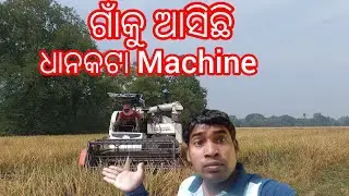 ଆମ ଗାଁଙ୍କୁ ଆସିଛି ଧାନ କଟା machine ll ଧାନ କଟା machine ଆସିଛି ଗାଁକୁ ll ବିଲ ରେ ଧାନ କଟା machine ll