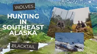 Hunting in Southeast Alaska 