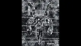 Total Genocide / Kr&uuml;el K&ouml;mmando &ndash; Kamp Satan (Split 2009)